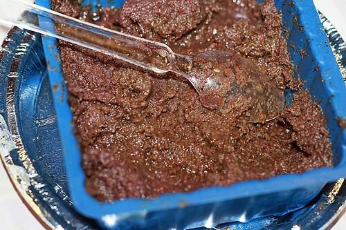 Red-ant chutney (photographed at a festival of tribal food)